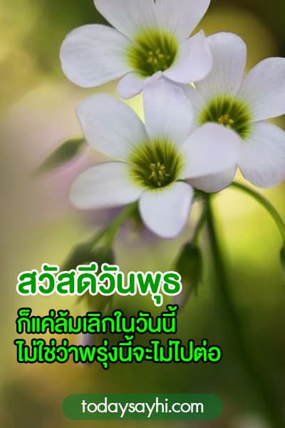 สวัสดีจ้า